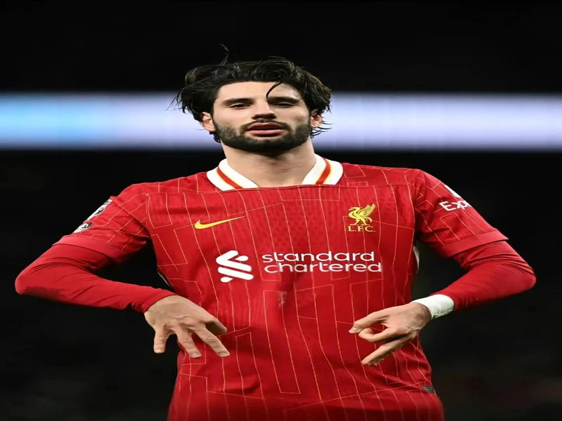 索博:如果有球迷不相信利物浦能逆转,就待在家里别来现场